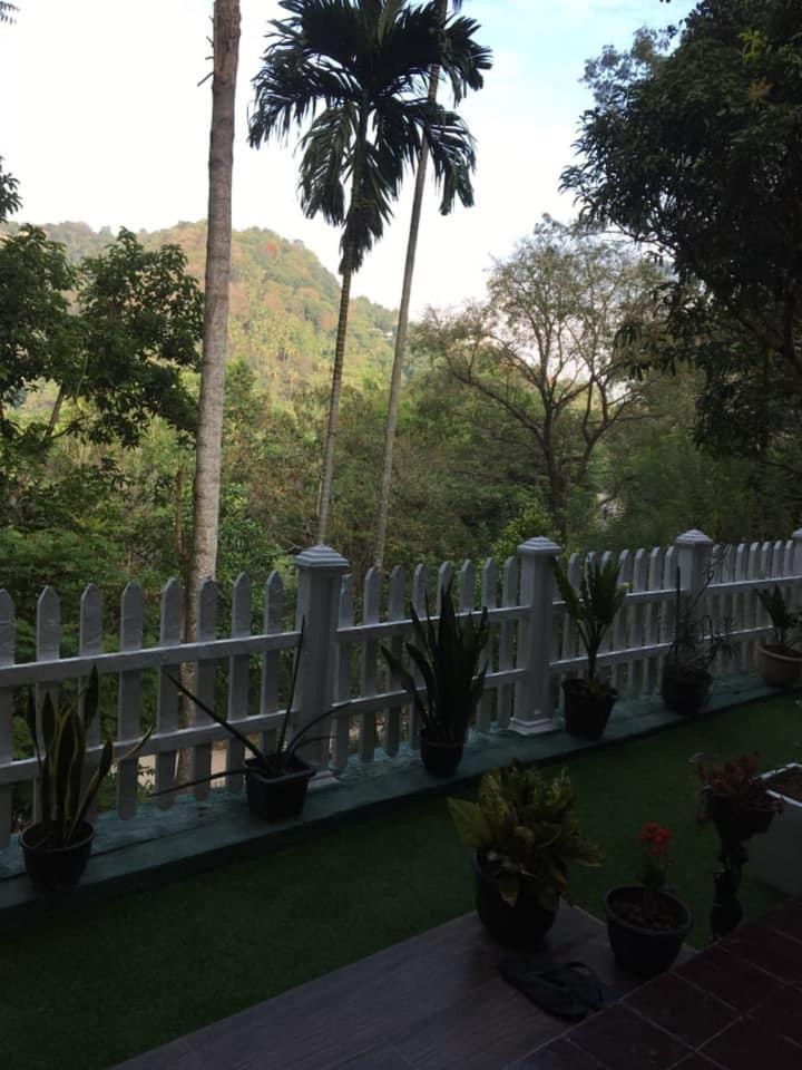 Villa25 Homestay Free Pick Up From The Centre Kandy Luaran gambar