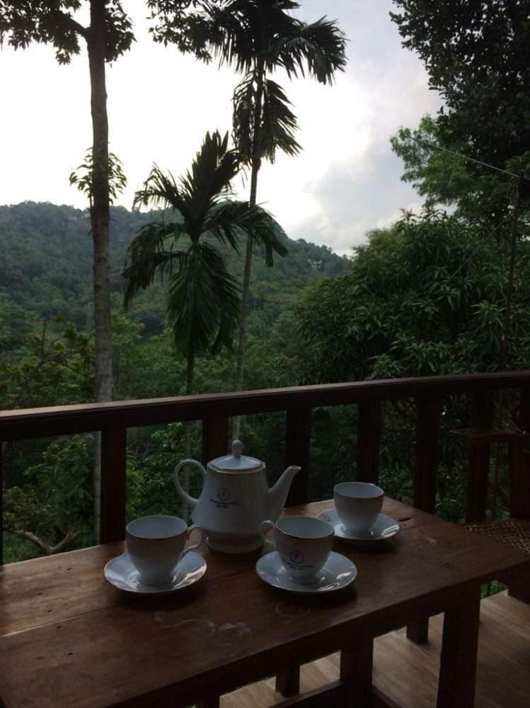 Villa25 Homestay Free Pick Up From The Centre Kandy Luaran gambar
