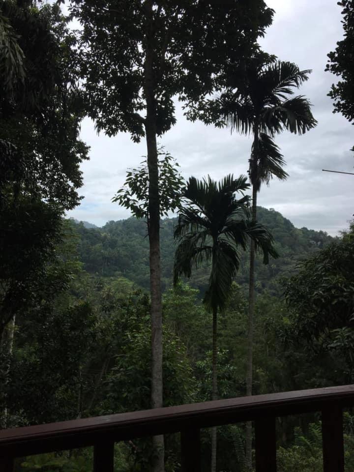 Villa25 Homestay Free Pick Up From The Centre Kandy Luaran gambar